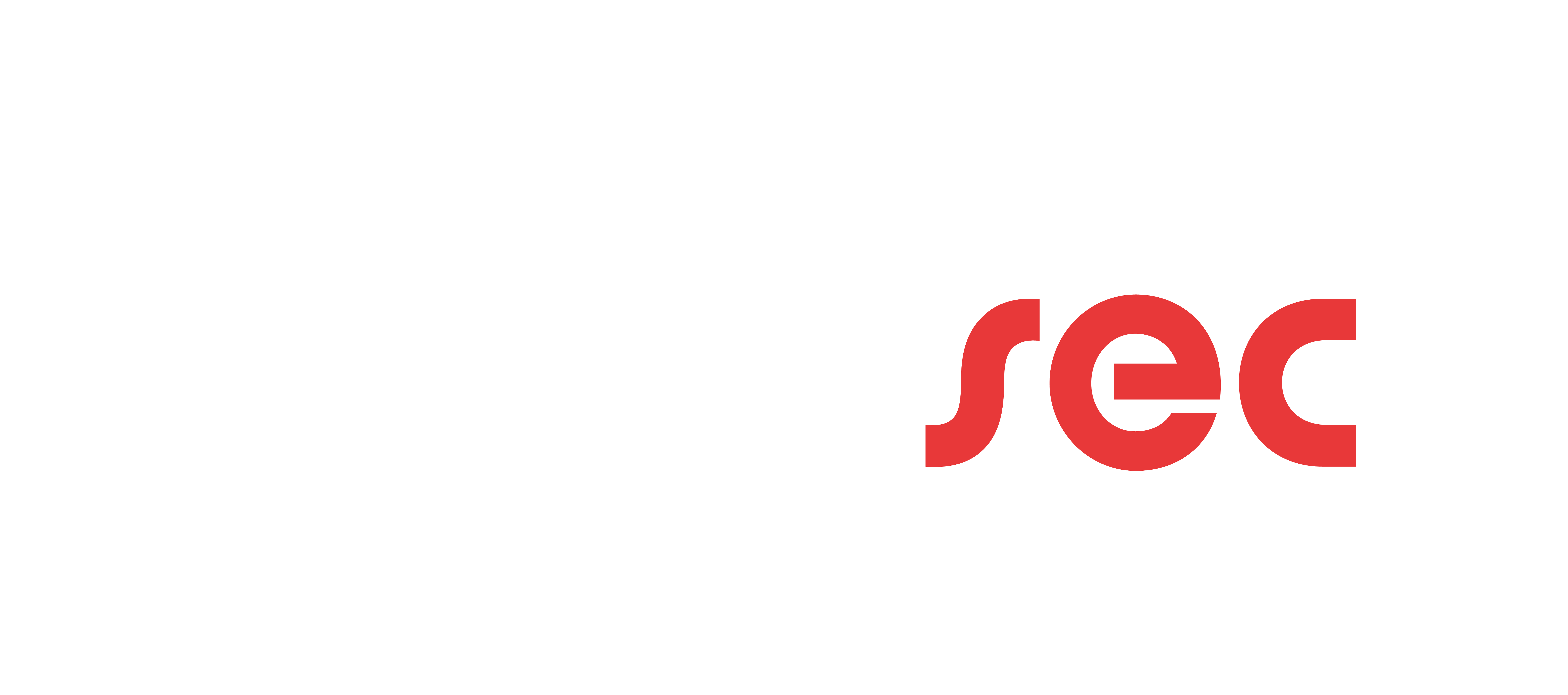 logo_drivesec.png